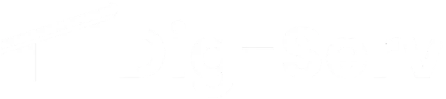 DIGSERV